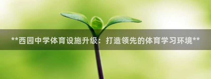 意昂体育3：**西园中学体育设施升级：打造领先的体育