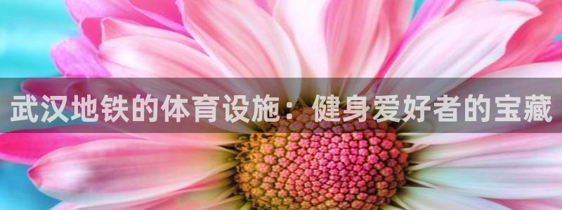 意昂3娱乐首页网站大全
