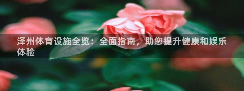 意昂3集团简介