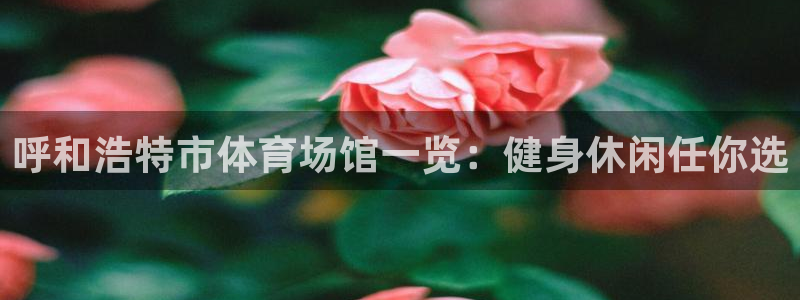 意昂体育3招商电话地址查询：呼和浩特市体育场馆一览：