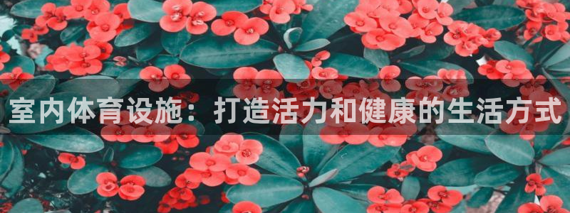 意昂体育3平台是正规平台吗