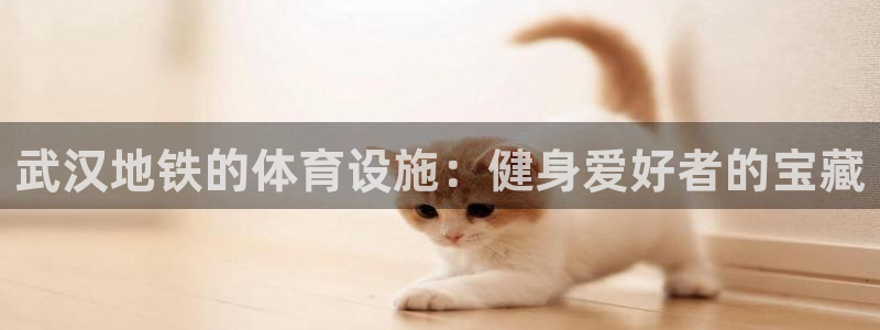 意昂体育3招商电话地址：武汉地铁的体育设施：健身爱好