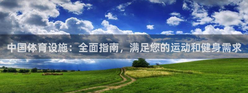 意昂3新能源：中国体育设施：全面指南，满足您的运动和