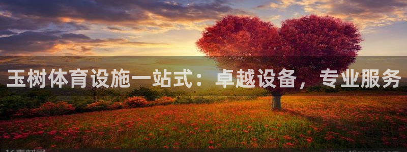 意昂体育3招商电话是多少啊：玉树体育设施一站式：卓越