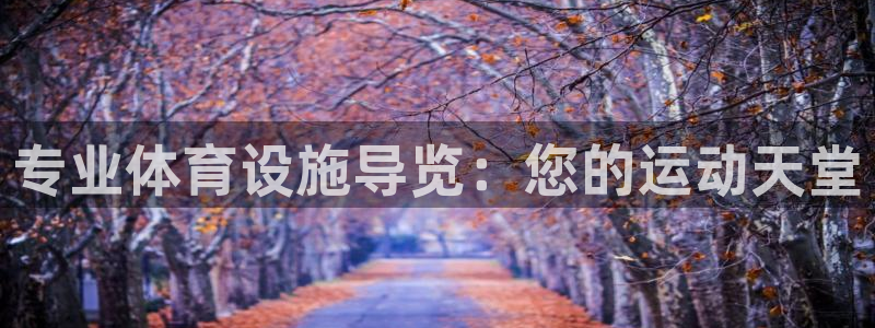 注册意昂3：专业体育设施导览：您的运动天堂