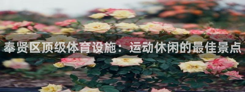 意昂体育3平台注册要钱吗是真的吗：奉贤区顶级体育设施