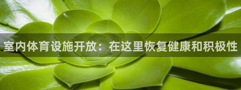 意昂3集团官网首页网址：室内体育设施开放：在这里恢复