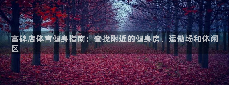 意昂体育3平台注册流程图：高碑店体育健身指南：查找附