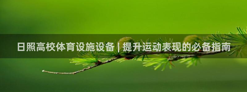 意昂体育3平台是正规平台吗
