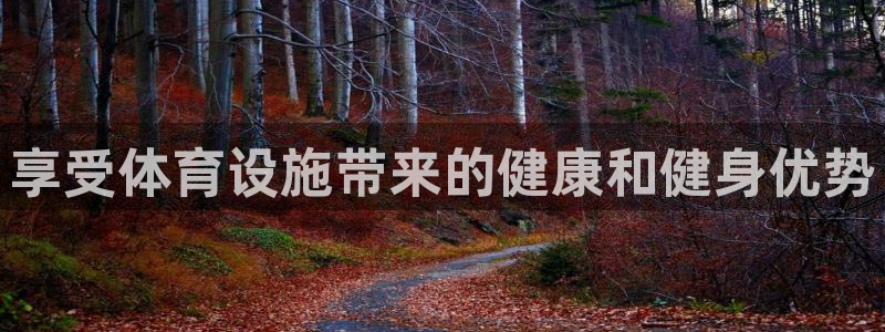 意昂3集团：享受体育设施带来的健康和健身优势