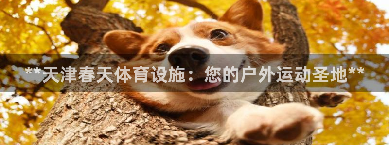 意昂体育3平台注册流程视频：**天津春天体育设施：您