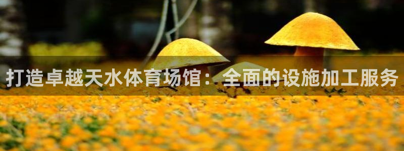 意昂3集团官网网址：打造卓越天水体育场馆：全面的设施