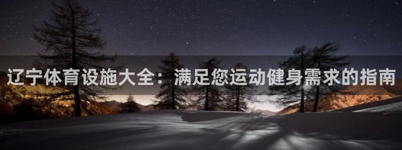 意昂3集团简介：辽宁体育设施大全：满足您运动健身需求的指南