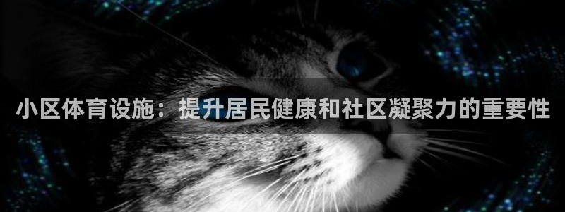 意昂体育3平台注册流程图：小区体育设施：提升居民健康