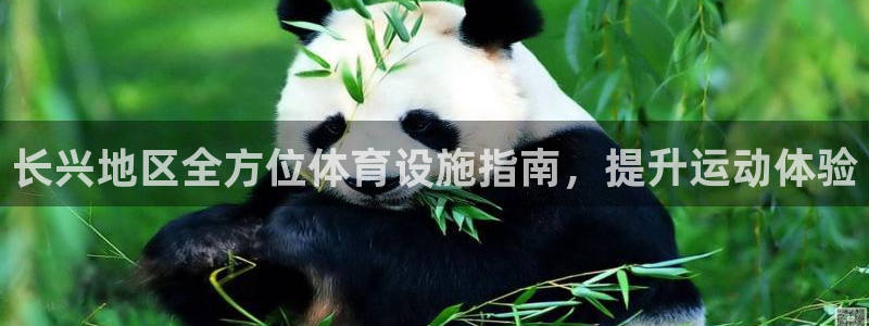 意昂体育3娱乐：长兴地区全方位体育设施指南，提升运动