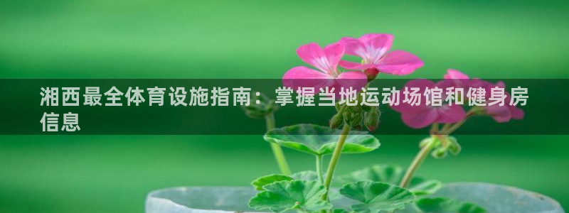 意昂3集团官网首页：湘西最全体育设施指南：掌握当地运