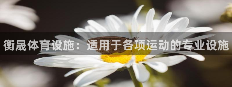 意昂3开户：衡晟体育设施：适用于各项运动的专业设施
