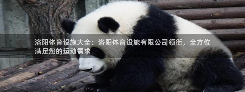 意昂体育3