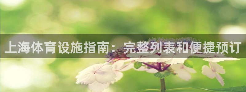 意昂体育3平台注册流程图：上海体育设施指南：完整列表