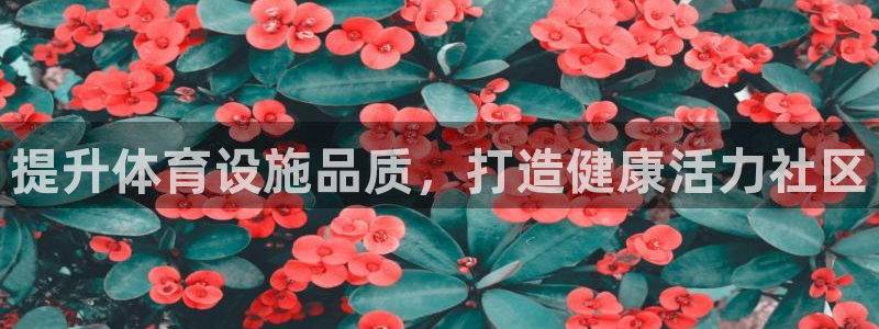 意昂体育3招商电话号码查询：提升体育设施品质，打造健