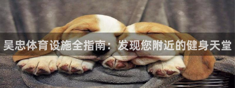 意昂体育3平台是正规平台吗安全吗：吴忠体育设施全指南