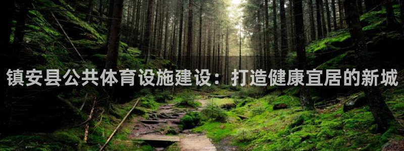 意昂3官网：镇安县公共体育设施建设：打造健康宜居的新城