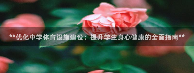 意昂3集团logo：**优化中学体育设施建设：提升学生身心健