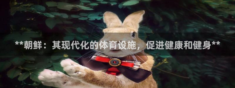 意昂体育3招商电话号码：**朝鲜：其现代化的体育设施，促进健