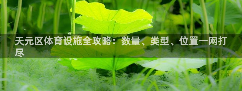 意昂3新能源：天元区体育设施全攻略：数量、类型、位置一网打
 