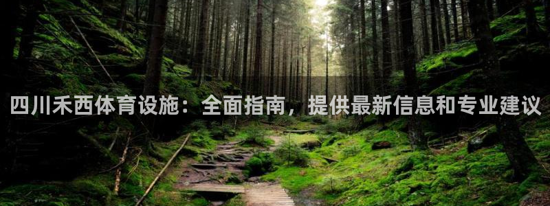 意昂3代理：四川禾西体育设施：全面指南，提供最新信息和专业建