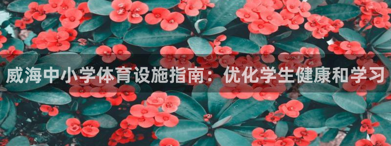 意昂体育3平台假的吗是真的吗：威海中小学体育设施指南