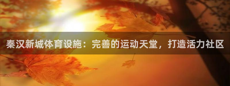 意昂体育3招商电话是多少啊：秦汉新城体育设施：完善的