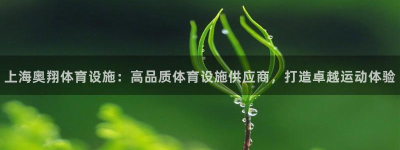 意昂3娱乐：上海奥翔体育设施：高品质体育设施供应商，