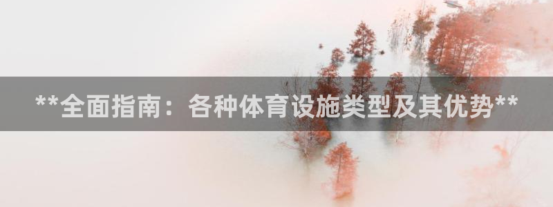 意昂体育3：**全面指南：各种体育设施类型及其优势*