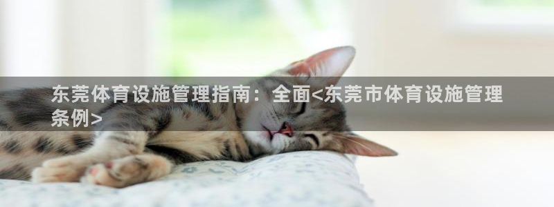 意昂体育3开户：东莞体育设施管理指南：全面<东莞市体