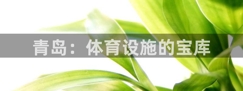 意昂体育3平台注册流程图：青岛：体育设施的宝库