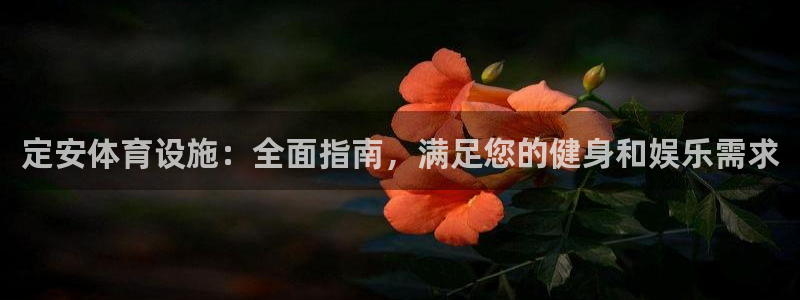 意昂3集团E.ON：定安体育设施：全面指南，满足您的