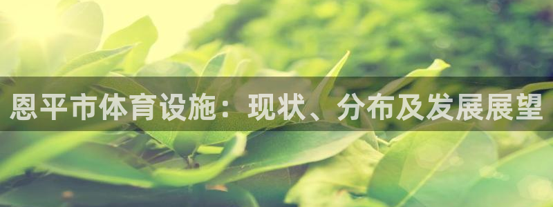 意昂体育3软件：恩平市体育设施：现状、分布及发展展望