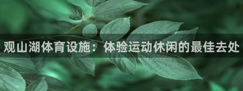 意昂平台体育：观山湖体育设施：体验运动休闲的最佳去处