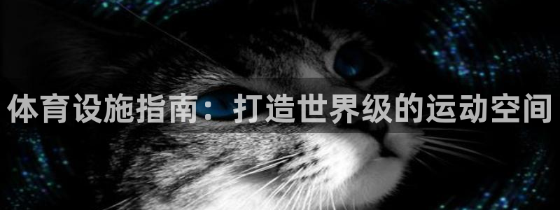 意昂体育3平台注册要钱吗安全吗：体育设施指南：打造世