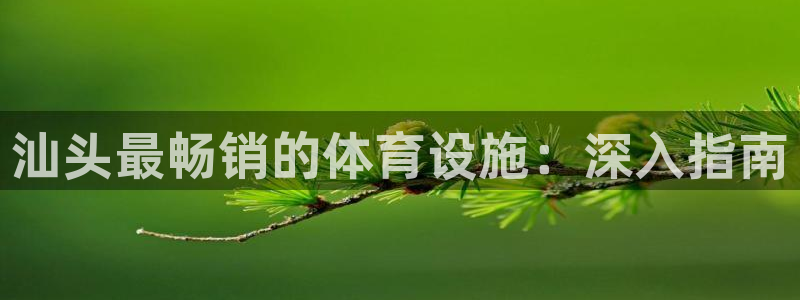 意昂体育3招商：汕头最畅销的体育设施：深入指南