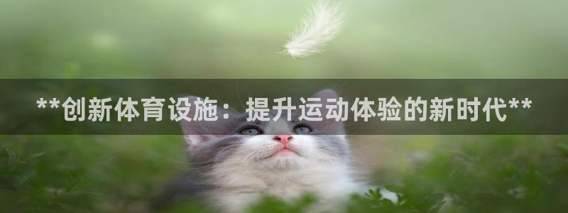 意昂3娱乐代理怎么样：**创新体育设施：提升运动体验