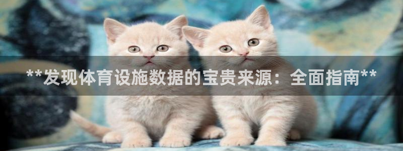 意昂体育3平台假的吗是真的吗：**发现体育设施数据的