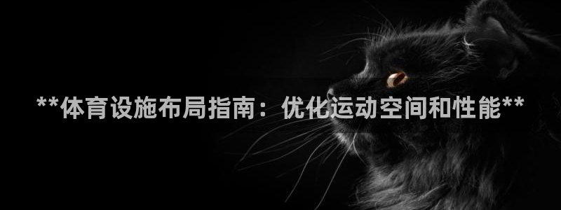 意昂体育3平台APP：**体育设施布局指南：优化运动