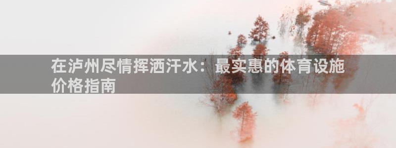 意昂3娱乐下载：在泸州尽情挥洒汗水：最实惠的体育设施