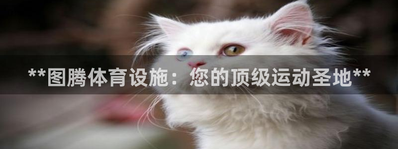 意昂3娱乐平台：**图腾体育设施：您的顶级运动圣地*