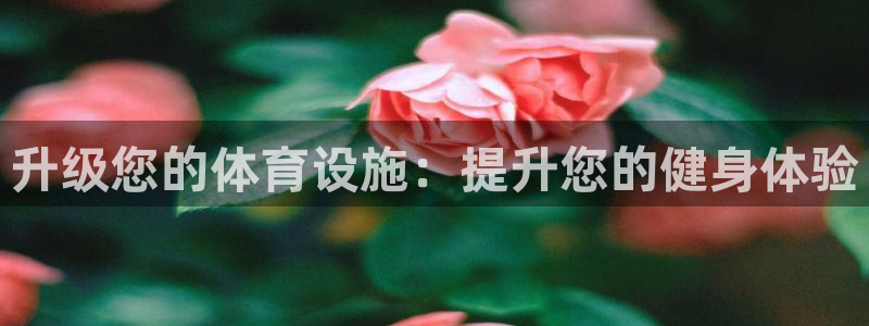 意昂3集团E.ON：升级您的体育设施：提升您的健身体