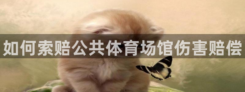 意昂体育3平台注册要钱吗：如何索赔公共体育场馆伤害赔