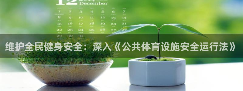 德国意昂3集团：维护全民健身安全：深入《公共体育设施