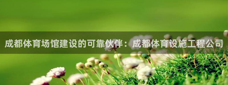 意昂3集团简介：成都体育场馆建设的可靠伙伴：成都体育